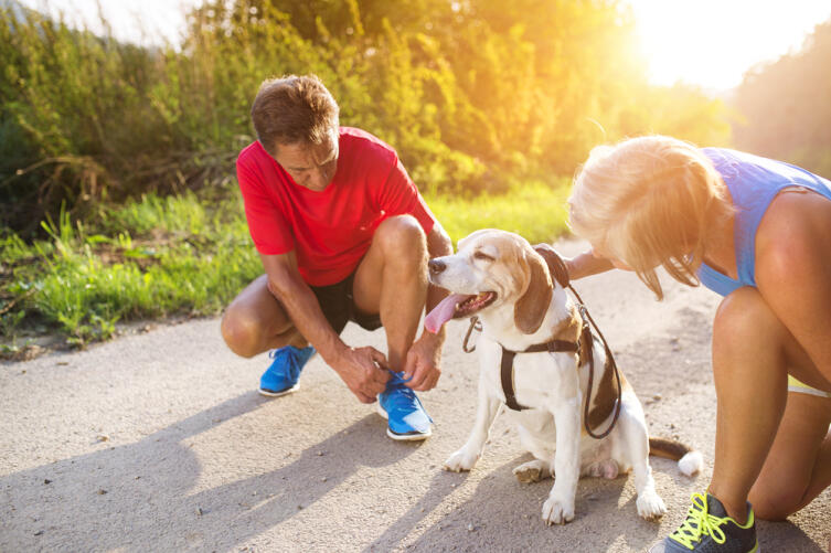 Поддерживайте физическую форму и здоровье собаки