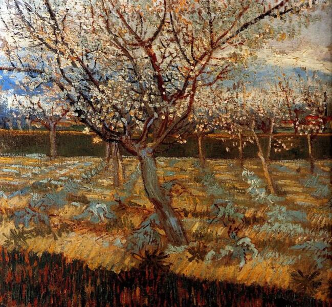 Винсент Ван Гог, «Цветущие абрикосы», 1888 г.