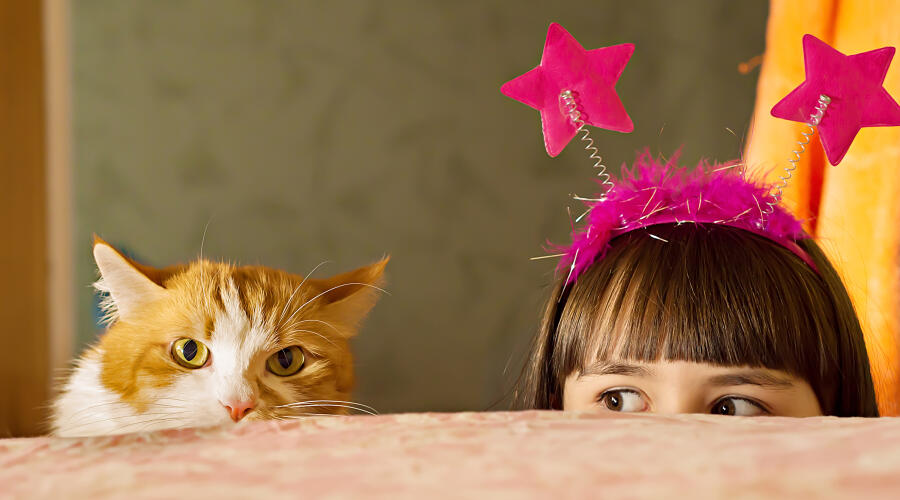 Опасности для кошки в квартире: на что обратить внимание?