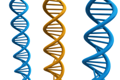 Геногеография: как найти свои корни?