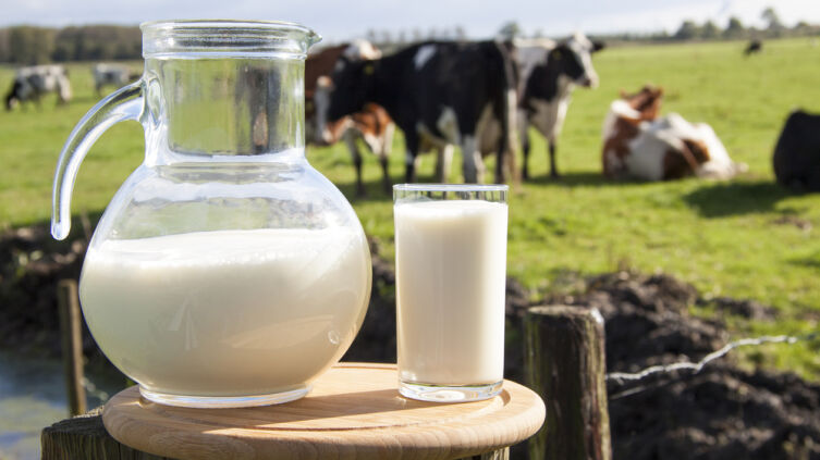Что вы пьёте, наливая в стакан молоко?