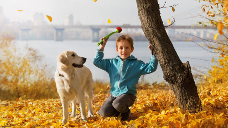 Какой бывает преданность у людей и собак?