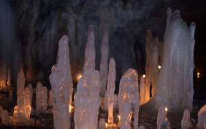 «Каждый Охотник Желает Знать, Где Сидит Фазан»