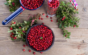Клюква и брусника. Что может быть полезней?