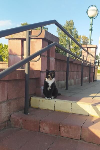 Путешествие по Беларуси. Почему Бобруйск — высококультурный город?