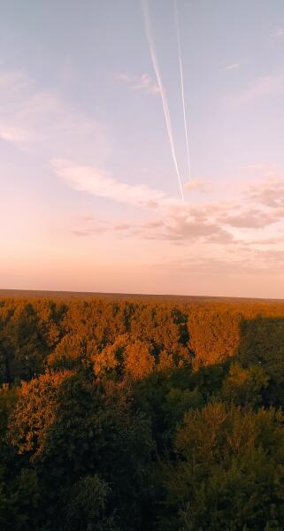 Путешествие по Беларуси. Почему Бобруйск — высококультурный город?