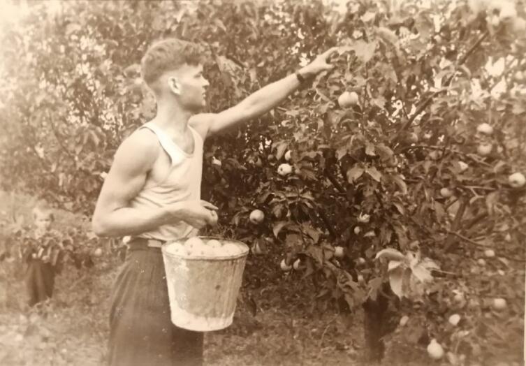 Отец. Ещё курсант ТВАКУ. На летних каникулах собирает яблоки в саду своей матери, моей бабы Нюры
