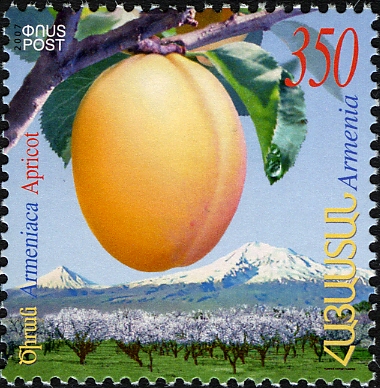 Почтовая марка Армении с изображением Абрикоса обыкновенного (Prunus armeniaca)
