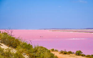 Как создать на подоконнике австралийский пейзаж с розовым озером?