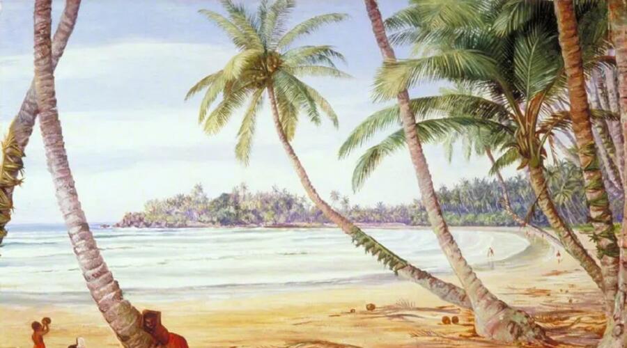 Марианна Норт, «Кокосовые пальмы на морском берегу, Цейлон», 1877 г.