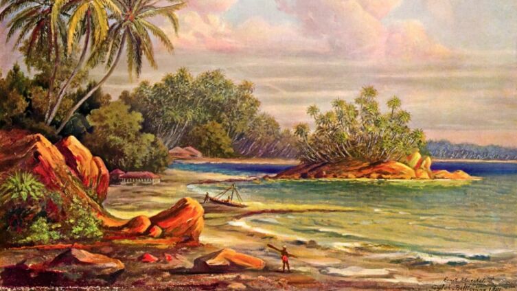 Эрнст Генрих Геккель, «Кокосовые пальмы на побережье, Цейлон. «Чудеса тропического мира»», 1882 г.