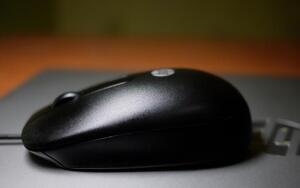 Как «полечить» компьютерную мышь?