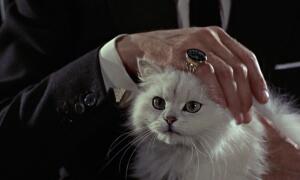 Сидней Рейли: был ли этот человек прототипом Джеймса Бонда?