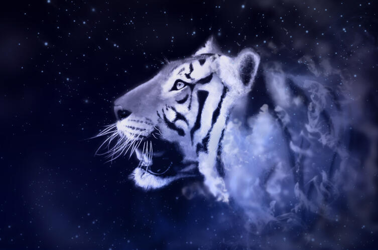 Что нельзя вешать на елку в этом году, чтобы не обозлить Синего Тигра?