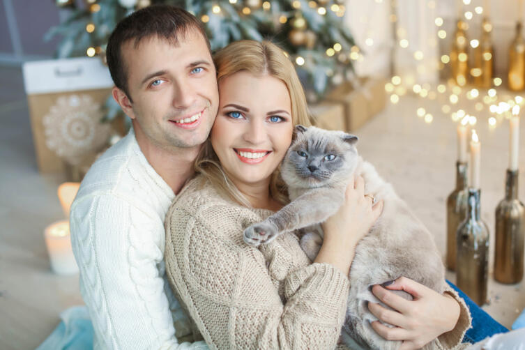 Кто хозяин 2022 года по славянскому гороскопу и что принесет нам его покровительство?