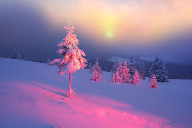 Как погадать в новогоднюю ночь?