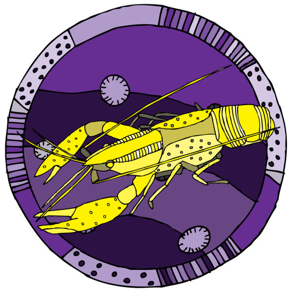 Что ждёт представителей разных знаков Зодиака в январе 2022 года?