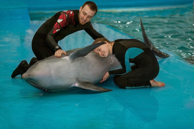 Как дрессируют дельфинов?