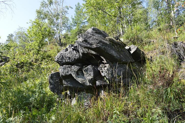 Высшая точка горы Карандаш, Аршанский заповедник. Высота горы 610 м.