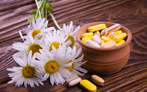 Какие лекарственные растения должны быть в домашней аптечке?