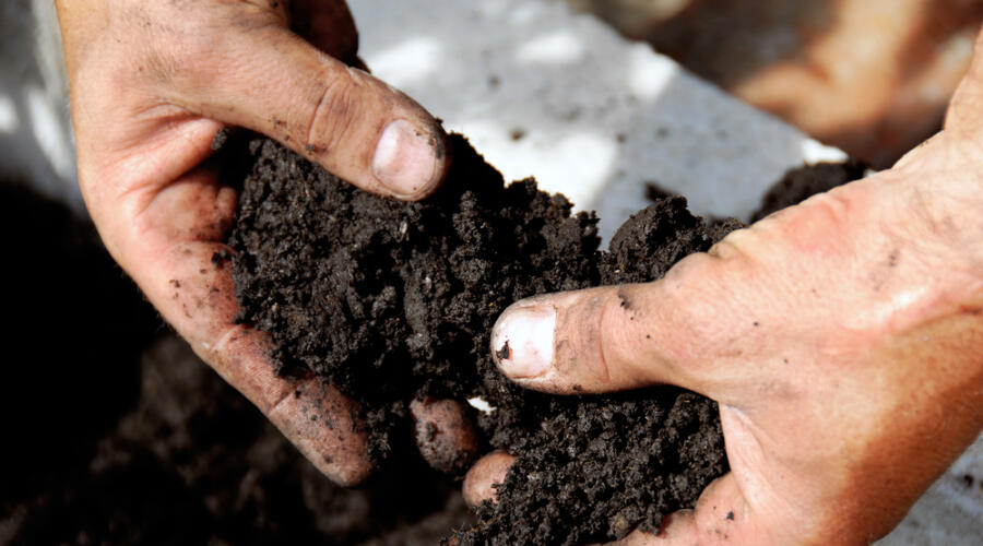 Можно ли повысить плодородность почвы?