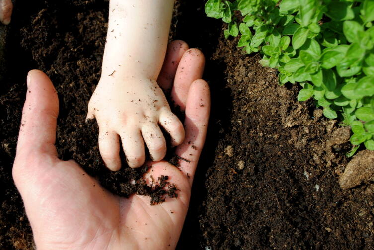 Можно ли повысить плодородность почвы?