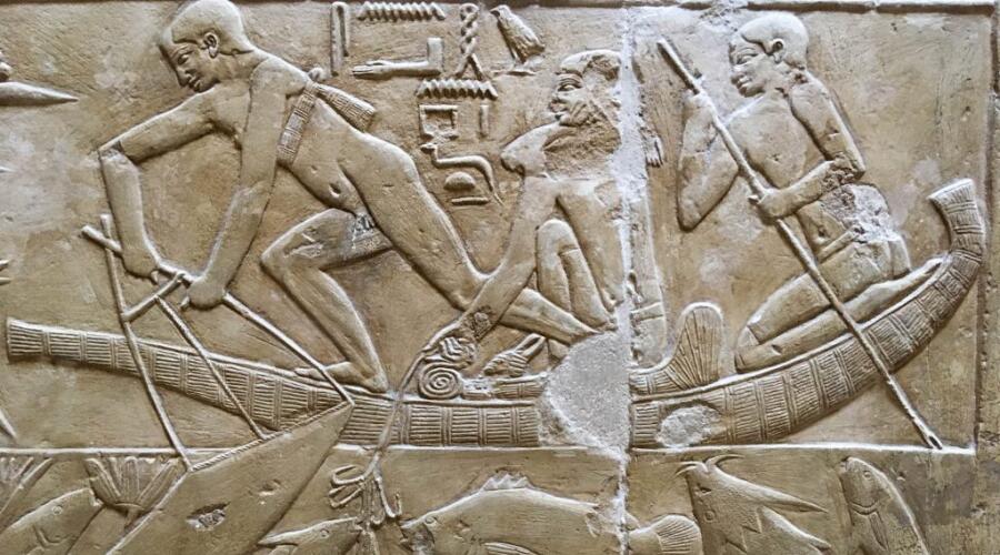 Кого древнеримские фараоны любили больше, чем кошек?