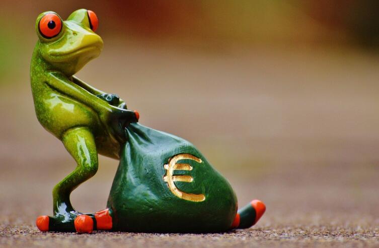 Как появилась валютная зона евро?