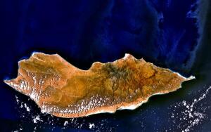 Чем уникален остров Сокотра?