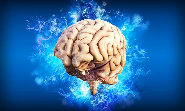 Почему функции головного мозга с возрастом ослабевают и как это предотвратить?