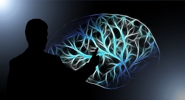 Почему функции головного мозга с возрастом ослабевают и как это предотвратить?
