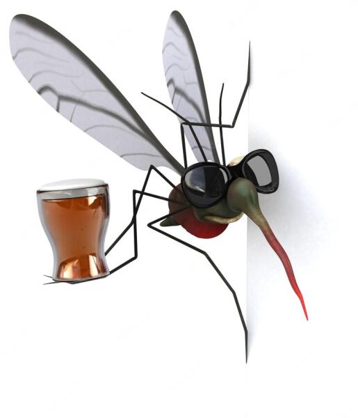 На что слетаются комары и как правильно одеваться, чтобы не провоцировать их? На что слетаются комары и как правильно одеваться, чтобы не провоцировать их?