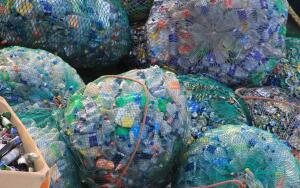 Экологические проблемы человечества. Сколько стоит мусор?