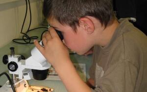 Как выбрать микроскоп для ребенка?