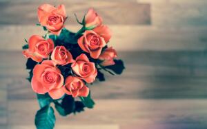 Особенности и преимущества доставки цветов онлайн при помощи интернет-сервисов. Как работают подобные компании в Сети?