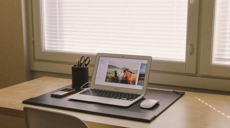 Как заработать денег сидя дома? Варианты и шаги с нуля