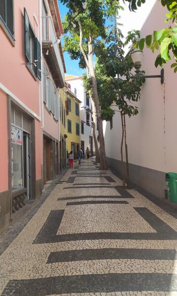 Мадейра. Как живется в столице острова — Фуншале?