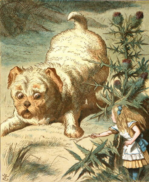 Иллюстрация John Tenniel к «The Nursery Alice», 1890 г.