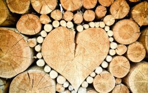 Когда и как заготавливают дрова?