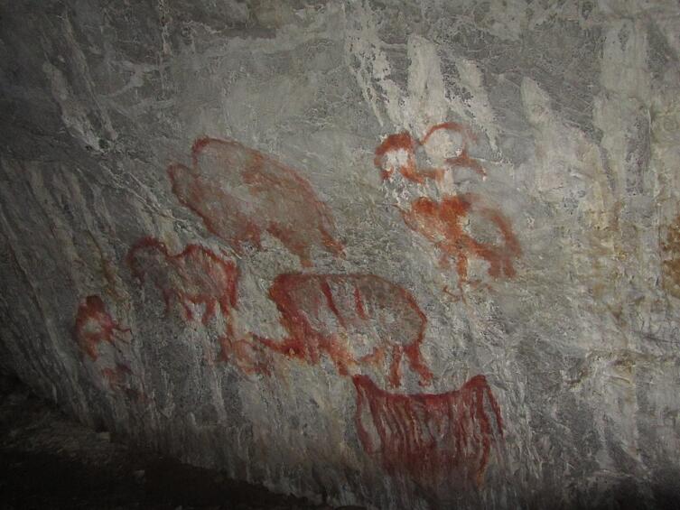 Рисунки животных, среди которых изображения мамонтов, 32—16 тыс. лет до н. э. Капова пещера