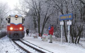 Как работает детская железная дорога в Венгрии?
