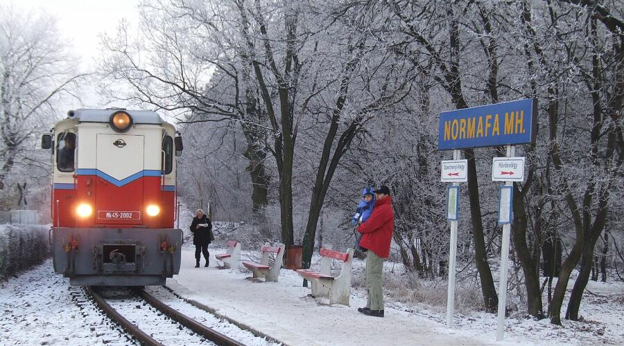 Детская железная дорога в Будапеште зимой