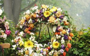 Как получить пособие на погребение и организовать похороны в Беларуси?