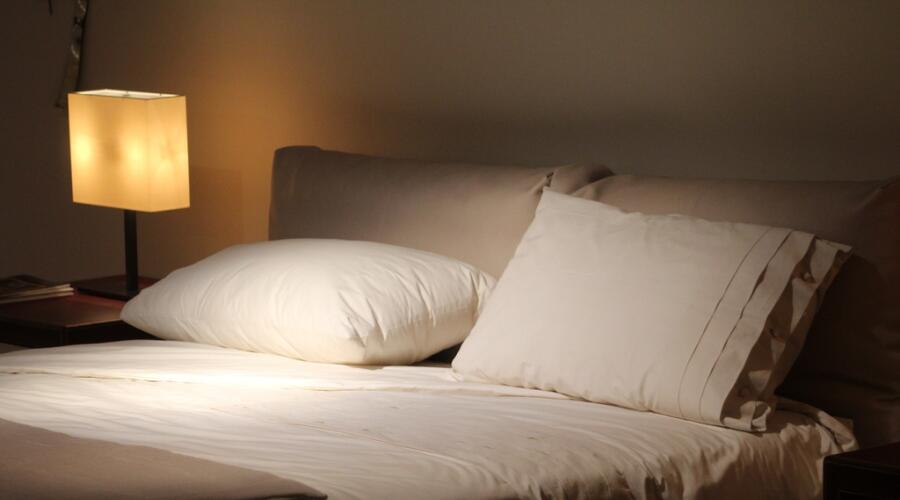 Постельные клопы