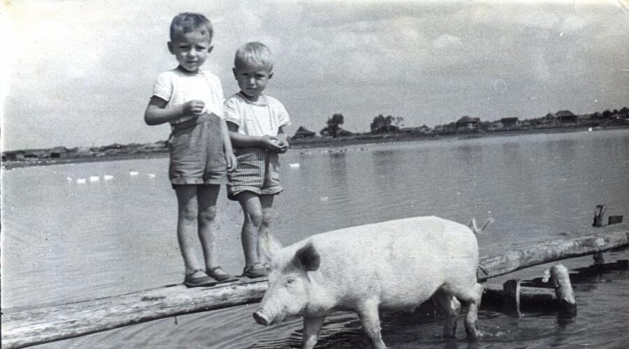 «Три поросёнка». Автор (который поменьше) с братом Санькой (который постарше) и очередным другом - Борькой. 1957 г.