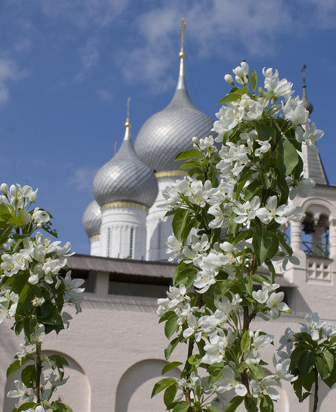 Цветут яблони Ростовского кремля