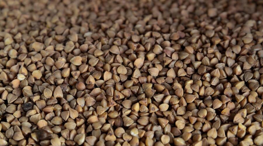 Почему немцы не едят гречку?