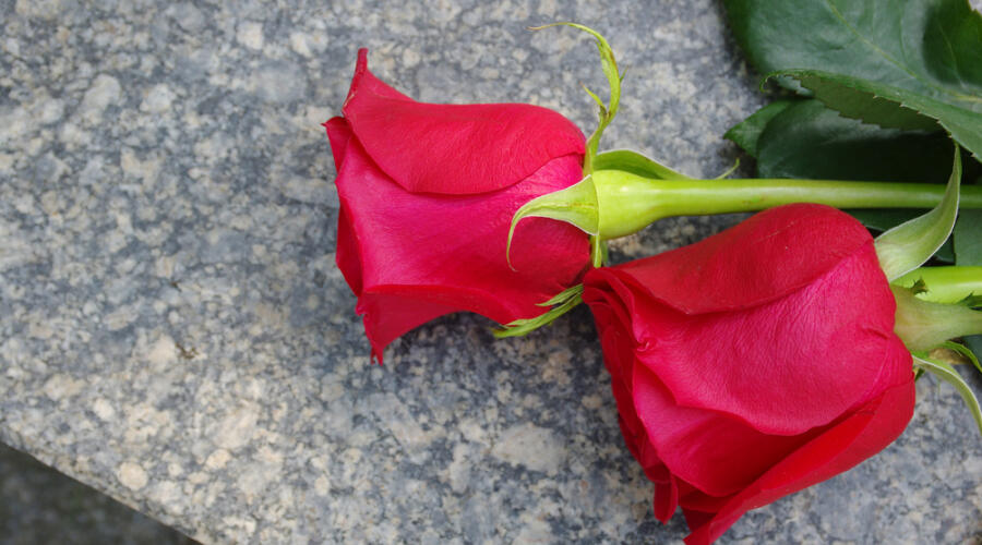 Что может влиять на людей?