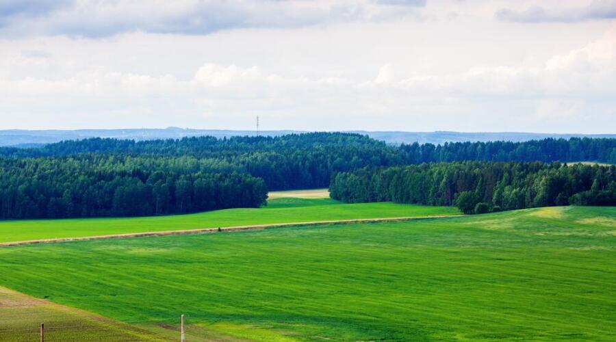 Белорусский пейзаж, Минская область