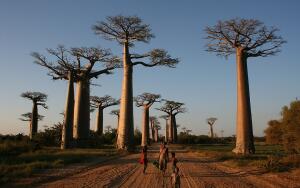Робинзон Крузо, отшельник и великий путешественник. Какие страны он посетил?